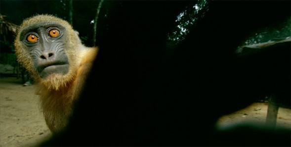 Dünyanın en güzel 40 fotoğrafı - 2 galerisi resim 3