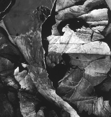 Dünyanın en güzel 40 fotoğrafı - 2 galerisi resim 6