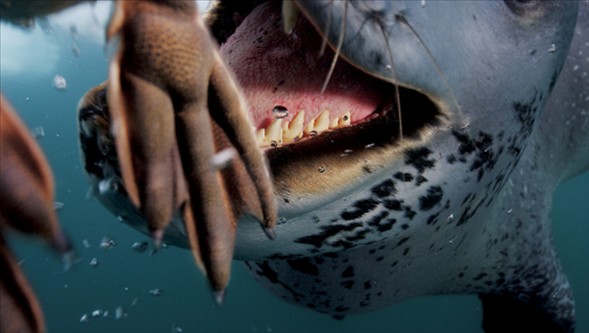 Dünyanın en güzel 40 fotoğrafı - 2 galerisi resim 7