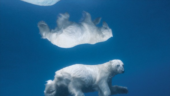 Dünyanın en güzel 40 fotoğrafı - 2 galerisi resim 8