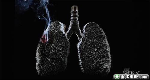 Sigarayı Bıraktıran Reklamlar galerisi resim 11