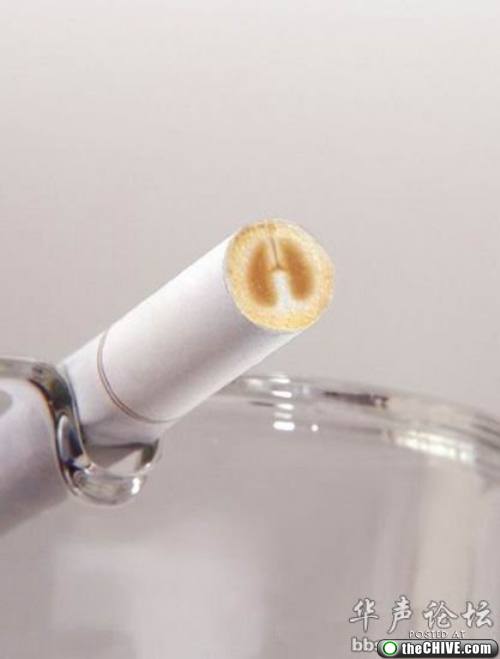 Sigarayı Bıraktıran Reklamlar galerisi resim 5