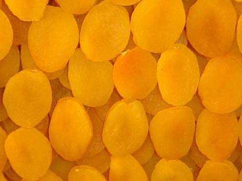 Kalp sağlığı için faydalı 10 besin galerisi resim 2