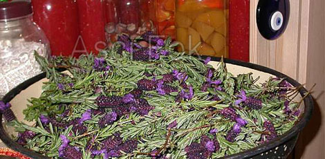 Dertlere deva 30 bitki galerisi resim 10