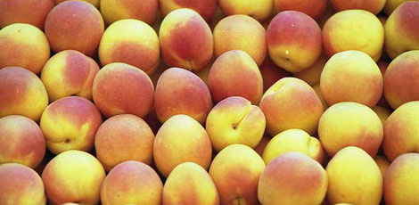 Dertlere deva 30 bitki galerisi resim 12