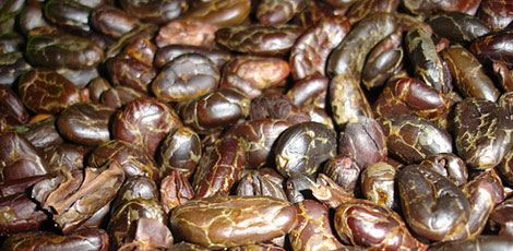 Dertlere deva 30 bitki galerisi resim 16