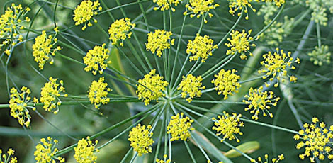 Dertlere deva 30 bitki galerisi resim 24