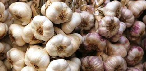 Dertlere deva 30 bitki galerisi resim 25