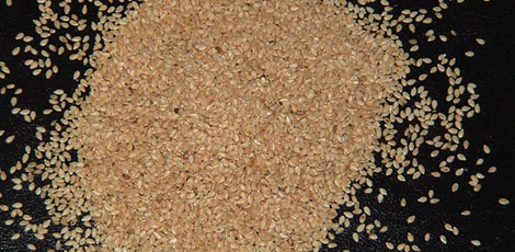 Dertlere deva 30 bitki galerisi resim 27