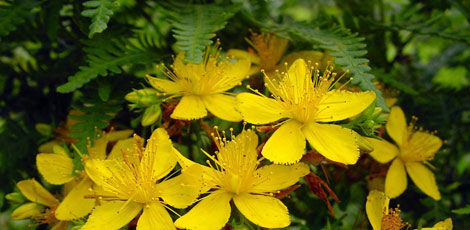 Dertlere deva 30 bitki galerisi resim 9