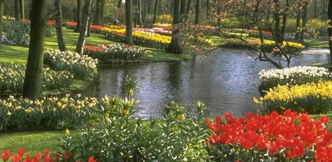 Dertlere deva 30 bitki