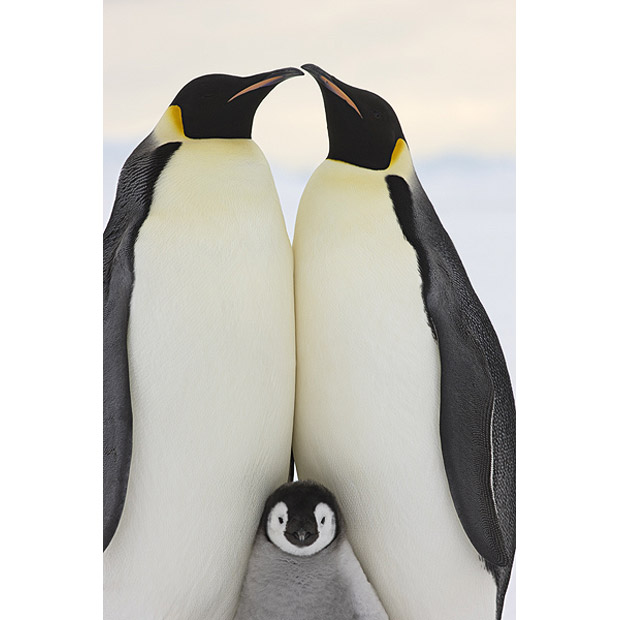 Ödüllü seyahat fotoğrafları galerisi resim 17