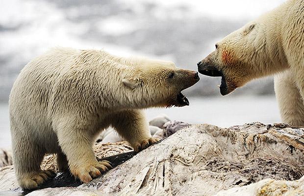 Ödüllü seyahat fotoğrafları galerisi resim 21