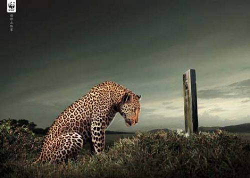 Photoshop harikası reklamlar galerisi resim 17