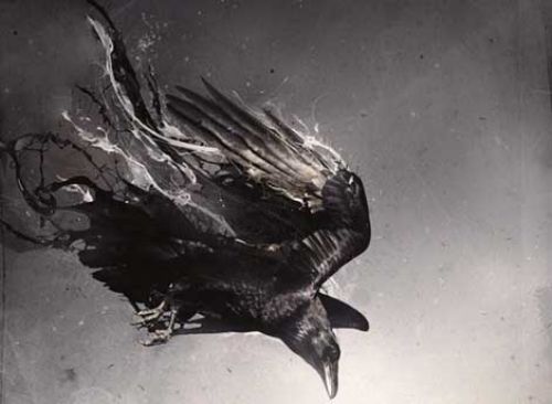 Photoshop harikası reklamlar galerisi resim 21