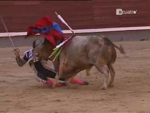 Boğanın intikamı acı oldu galerisi resim 12