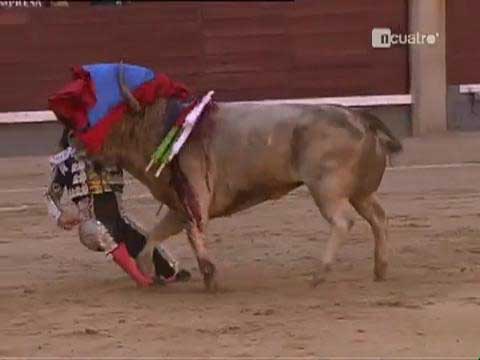 Boğanın intikamı acı oldu galerisi resim 13