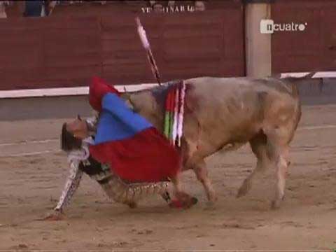 Boğanın intikamı acı oldu galerisi resim 15