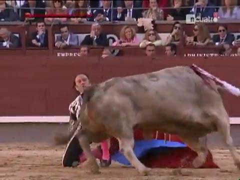 Boğanın intikamı acı oldu galerisi resim 16