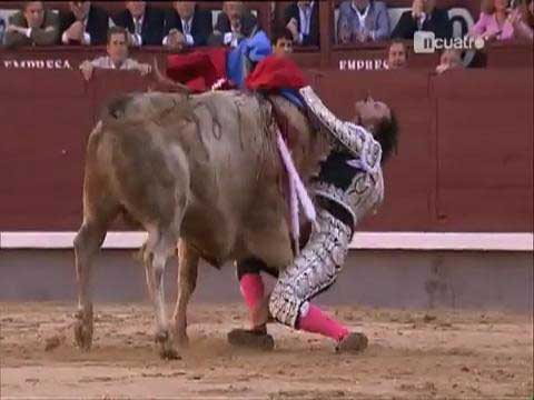 Boğanın intikamı acı oldu galerisi resim 2