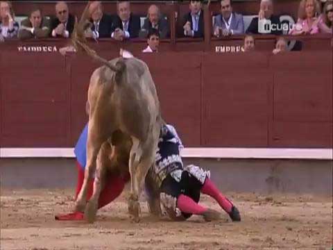 Boğanın intikamı acı oldu galerisi resim 3