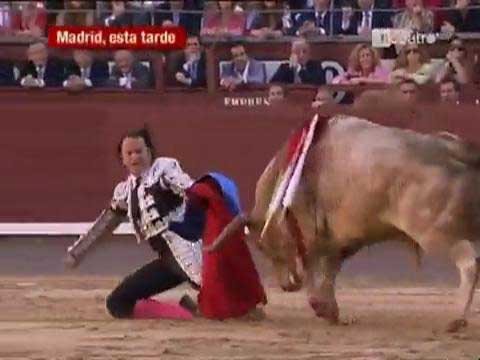 Boğanın intikamı acı oldu galerisi resim 7