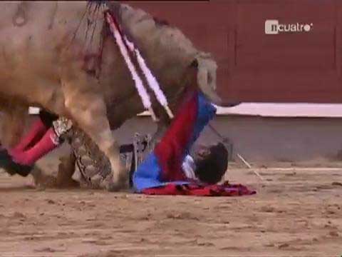 Boğanın intikamı acı oldu galerisi resim 8