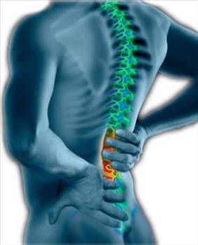 Doğanın armağanı zeytinyağı galerisi resim 10