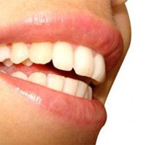 Doğanın armağanı zeytinyağı galerisi resim 24