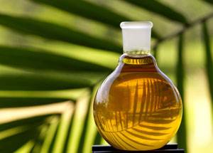 Doğanın armağanı zeytinyağı galerisi resim 42