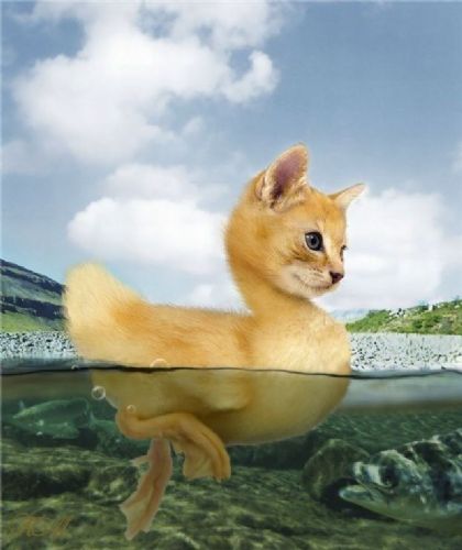 Dikkat çeken fotoğraflar galerisi resim 10