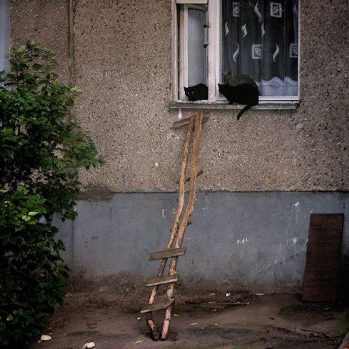 Dikkat çeken fotoğraflar galerisi resim 16