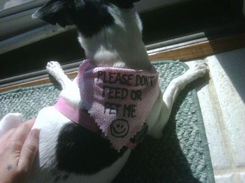 Dikkat çeken fotoğraflar galerisi resim 17