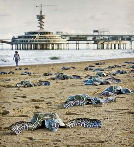 Dikkat çeken fotoğraflar galerisi resim 20