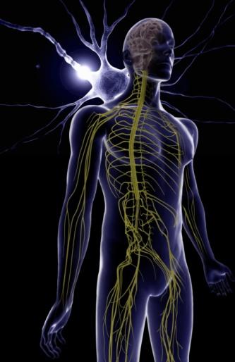 Unutkanlar dikkat! galerisi resim 3