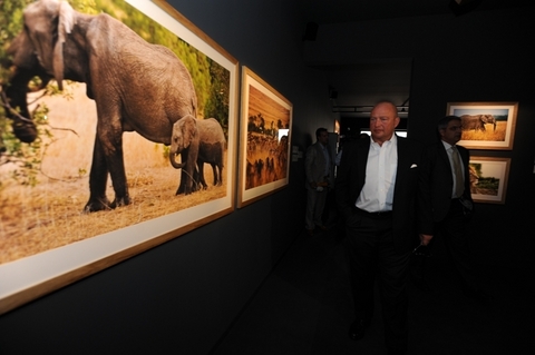 Vahşi Yaşam: Mustafa Koç'un objektifinden galerisi resim 8