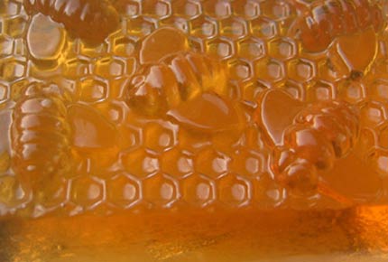 Gerçek bal nasıl anlaşılır? galerisi resim 10