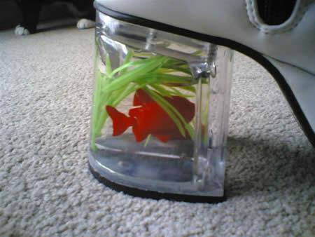 Güldüren ayakkabılar galerisi resim 4