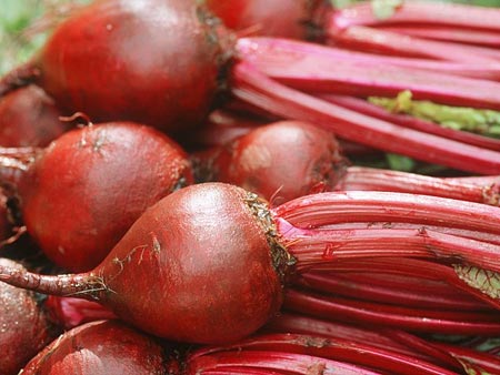 Zayıflatan 10 Yaz Yiyeceği galerisi resim 7