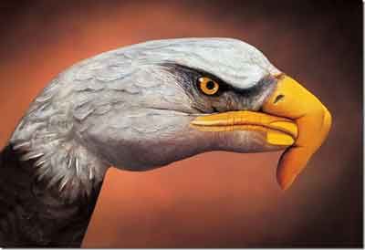 Bu da el boyama sanatı galerisi resim 2