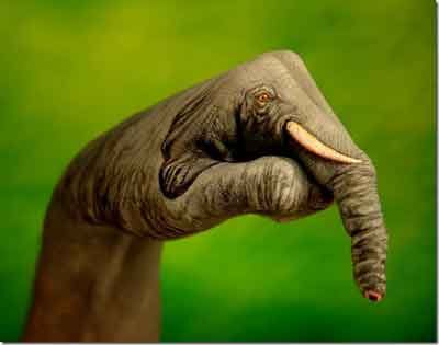 Bu da el boyama sanatı galerisi resim 4