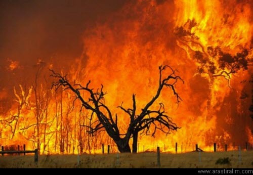 Açıklanamayan Olaylar galerisi resim 7