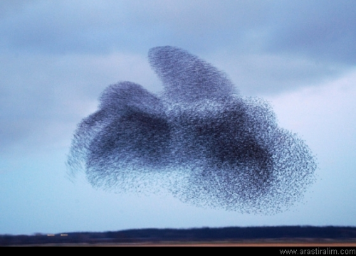 Açıklanamayan Olaylar galerisi resim 9