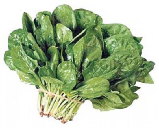 Baş ağrısının 9 ilacı galerisi resim 9