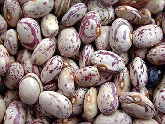 Beyni geliştiren besinler galerisi resim 18