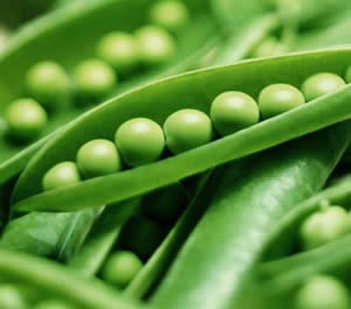 Beyni geliştiren besinler galerisi resim 19