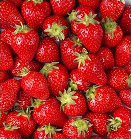 Beyni geliştiren besinler galerisi resim 9