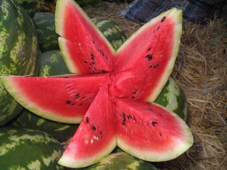 Karpuzun 10 faydası galerisi resim 4