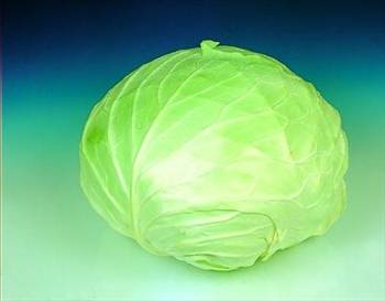 20 ölümcül hata ve altın kurallar galerisi resim 3