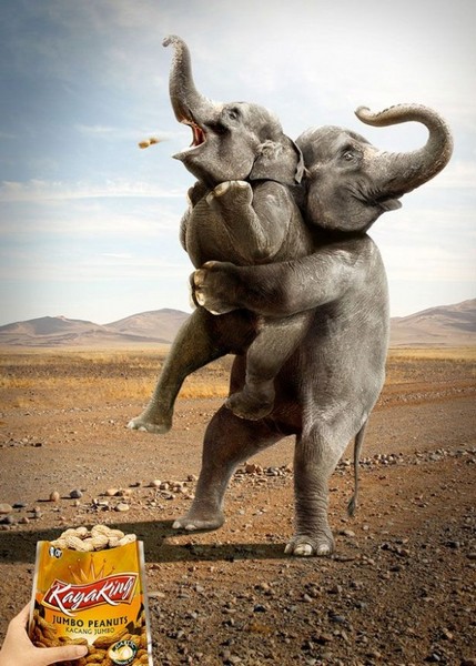 En tuhaf reklam afişleri galerisi resim 9